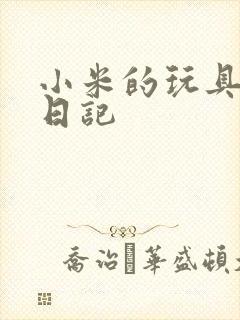 小米的玩具羞辱日记封面