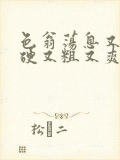 色翁荡息又大又硬又粗又爽小莹