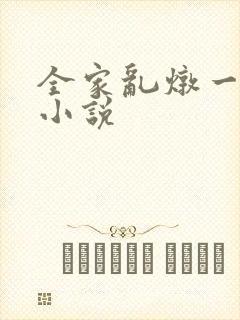 全家乱炖一锅烩小说