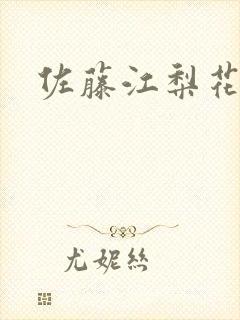 佐藤江梨花封面