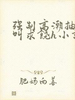 强制高潮抽搐哭叫求饶h小说封面