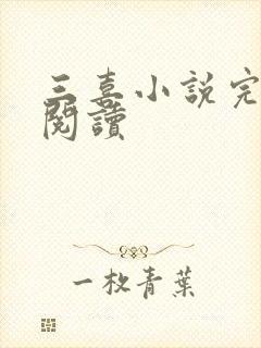 三喜小说完整版阅读封面