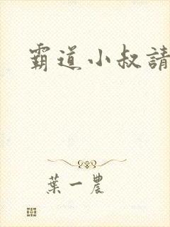 霸道小叔请轻撩