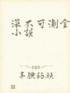 深不可测金银花小说