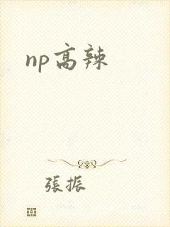 np高辣