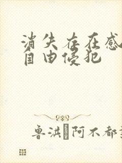 消失存在感消失自由侵犯