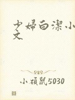 少妇白洁小说全文