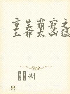 重生霸宠之摄政王爷太凶猛