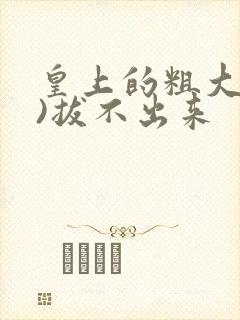 皇上的粗大(h)拔不出来