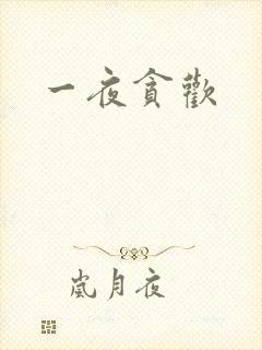 一夜贪欢