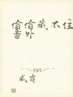 偷偷藏不住新婚番外