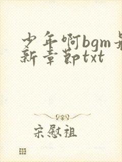少年啊bgm最新章节txt