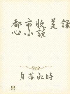 都市收美录宁素心小说