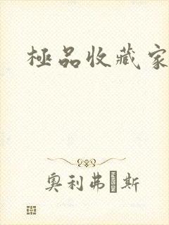极品收藏家封面