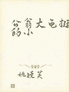 公翁大龟挺进我的小封面