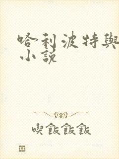 哈利波特与密室小说