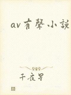 av有声小说