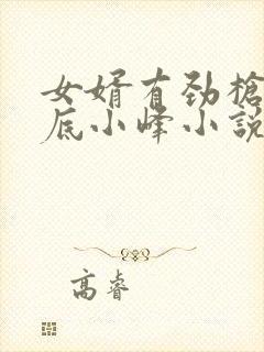 女婿有劲枪枪到底小峰小说