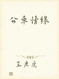 公车情缘
