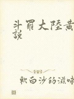 斗罗大陆黄色小说