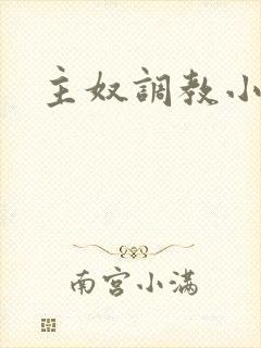 主奴调教小说封面