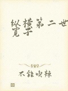 纵横第二世界 宽子