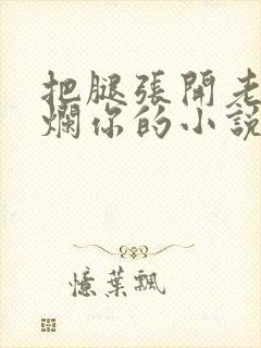 把腿张开老子臊烂你的小说