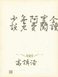 少年阿宾全文小说免费阅读笔趣阁