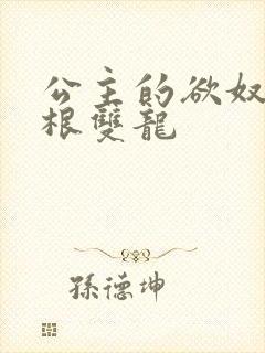 公主的欲奴h四根双龙