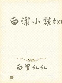 白洁小说txt封面