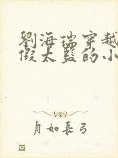 刘海瑞穿越后宫假太监的小说