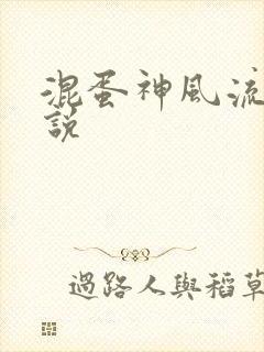 混蛋神风流史小说封面