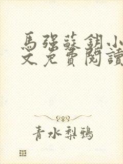 马强苏钥小说全文免费阅读最新章节