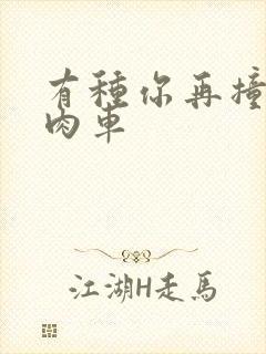 有种你再撞一下肉车