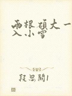 两根硕大一起挤入小雪