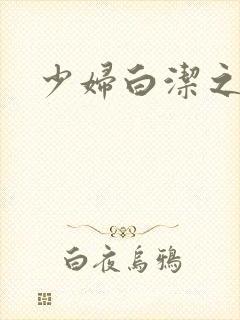 少妇白洁之