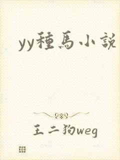 yy种马小说