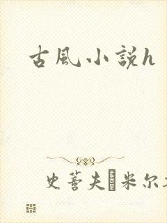古风小说h封面