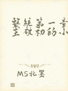 系统第一章给宿主破初的小说