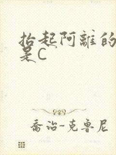 抬起阿离的腿就是C