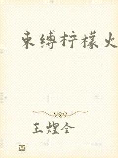 束缚柠檬火焰封面