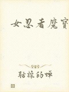 女忍者魔宝传封面