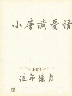 小唐璜爱情历史