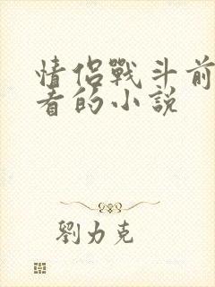 情侣战斗前适合看的小说