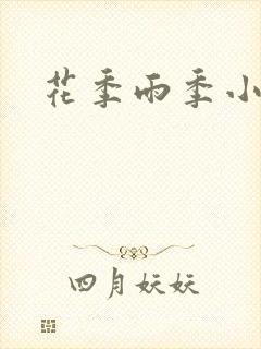 花季雨季小说封面