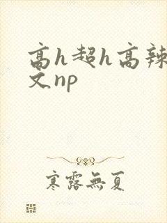 高h超h高辣h文np