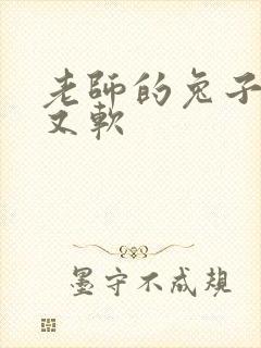 老师的兔子又大又软