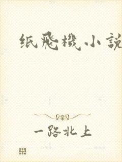 纸飞机小说