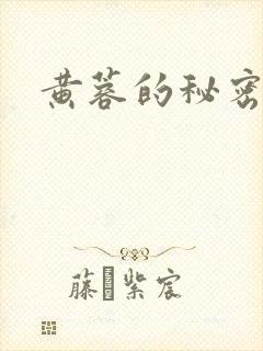 黄蓉的秘密