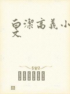 白洁高义小说全文